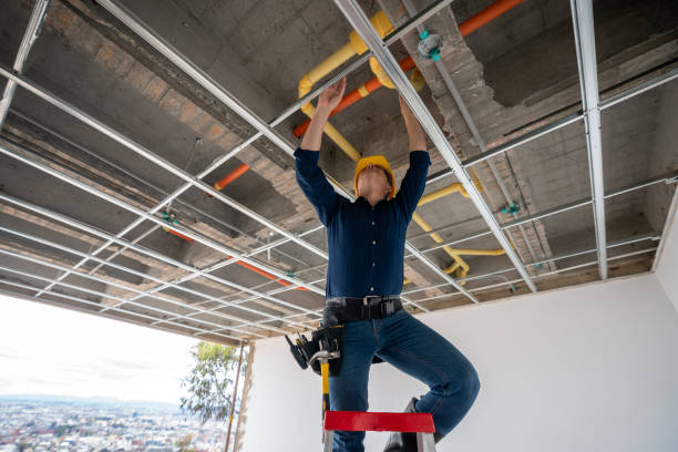 Best Local Plumber Services  in Westport, NC